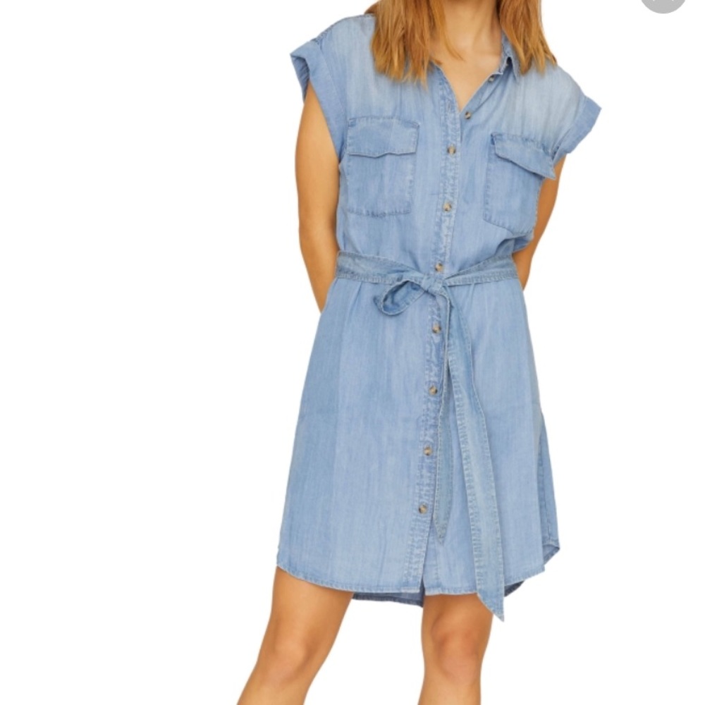 Sanctuary Dusty Sleeveless Dress